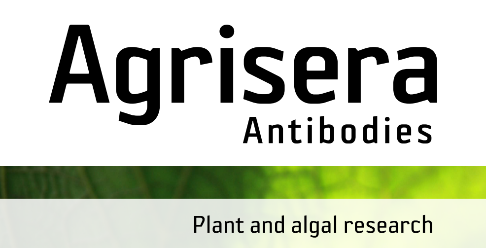 Agrisera MicroRNA相關(guān)研究植物蛋白抗體火熱促銷中！